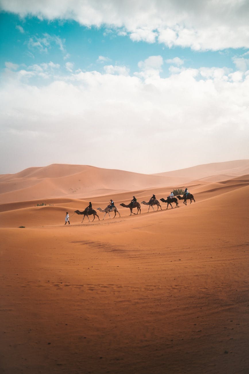 A camel caravan traverses the vast sand dunes of Al Wahat Al Dakhla Desert under a blue sky.